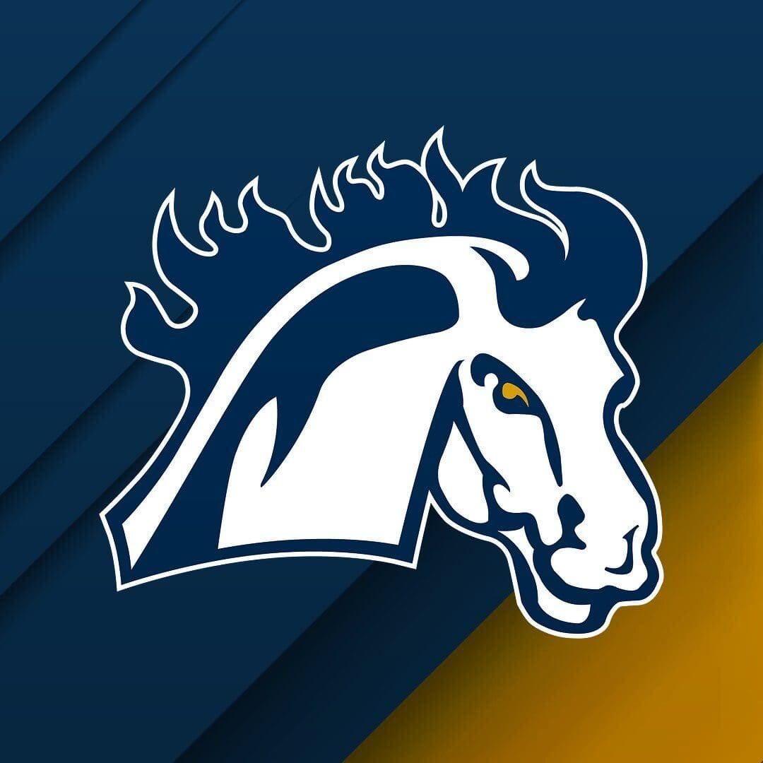 White 630vball emblem 2